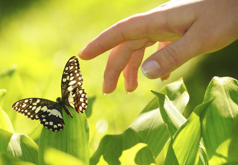 Gold Coast Remedial & Oncology Massage
