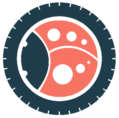 BugDriver