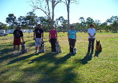 Coltrandi Pet Specialists