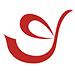 Dody Group Pty Ltd