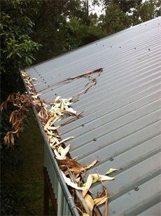 WA Gutter Shield