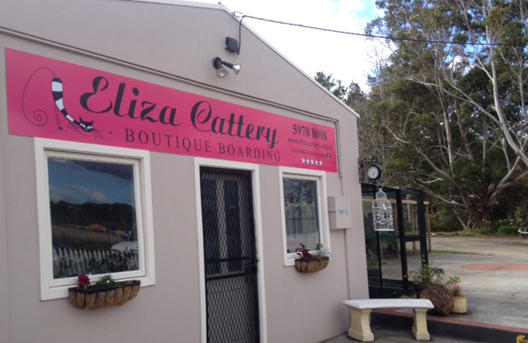 Eliza Cattery