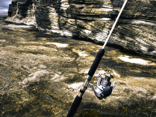 Shimano Fishing Australia