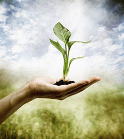 Restore Naturopathy