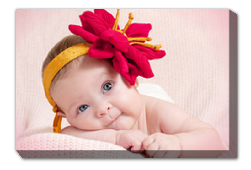 Roo Prints Pty Ltd