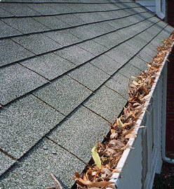 Top Notch Roof Plumbing: Connolly