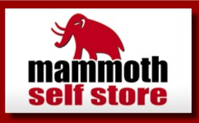 Store-All WA logo
