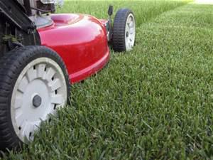 Cheap Lawn Mowing and Garden Care: Gold Coast