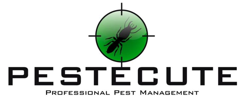 Pestecute Pty Ltd logo