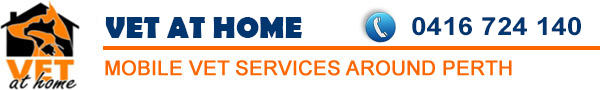 Vet At Home