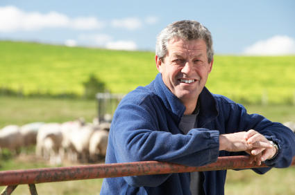 Crowe Horwath: Bathurst
