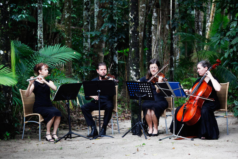 Orchid Flute & String Quartet