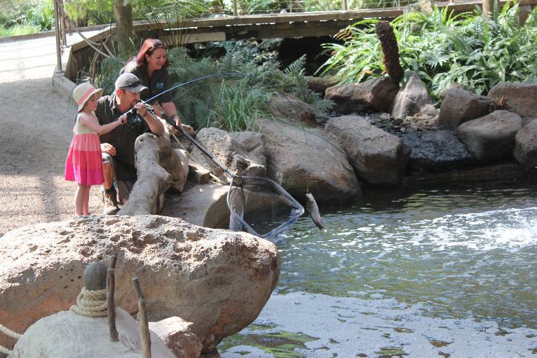 Rhyll Trout & Bush Tucker Farm