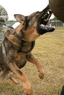 H&H Security