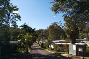 The Village: Forest Glen