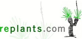 Replants