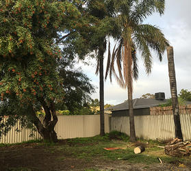 AB Trees: Banjup