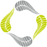 Kiwi Fresh Cleaning Services