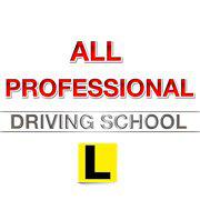 All Professional Driving School logo