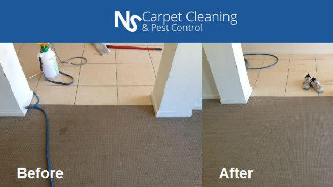 Northside Carpet Cleaning and Pest Control