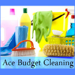 Ace Budget Cleaning logo