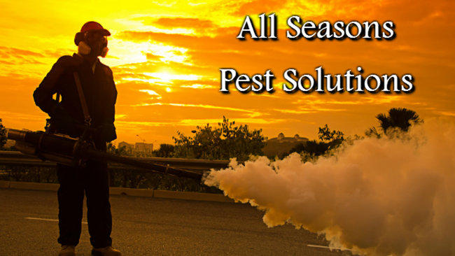 All Seasons Pest Solutions