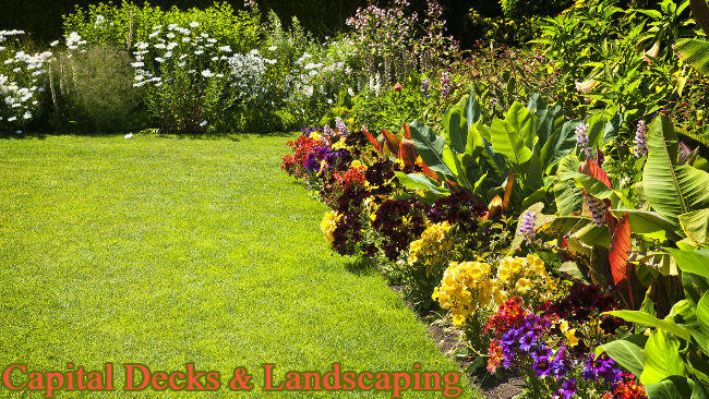 Capital Decks & Landscaping
