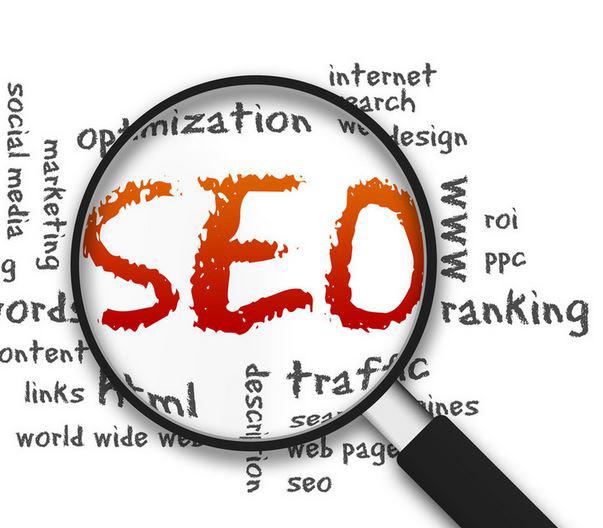 SEO Shark: Sydney