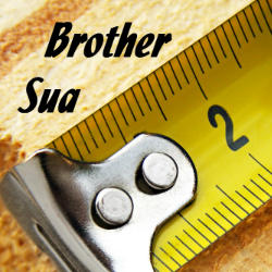 Brother Sua logo