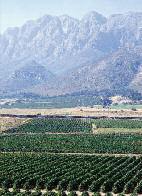 Inca Tours