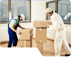 Six Brothers Removalists