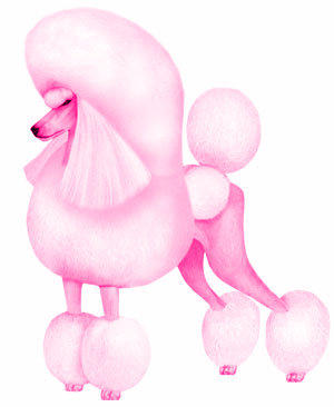 The Pink Poodle Dog Grooming