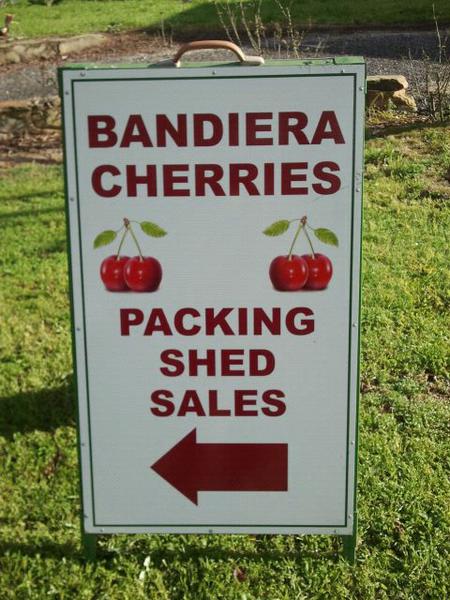 Bandiera Cherries logo