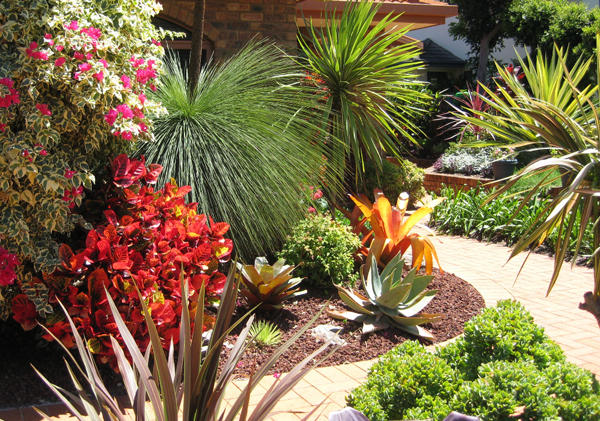 Coffs Harbour Garden Club
