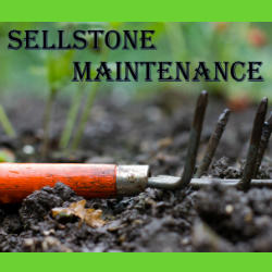 Sellstone Maintenance logo