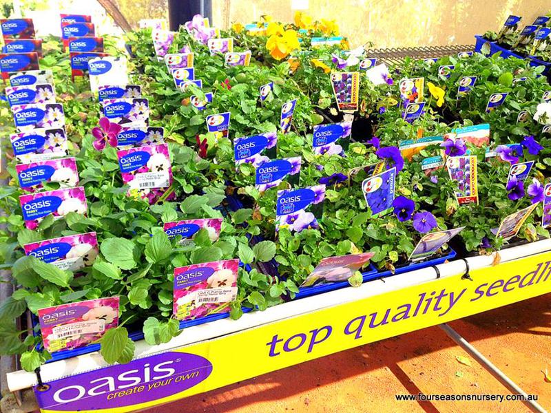 Four Seasons Nursery & Garden Centre