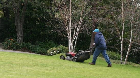 Mick's Mowing and More