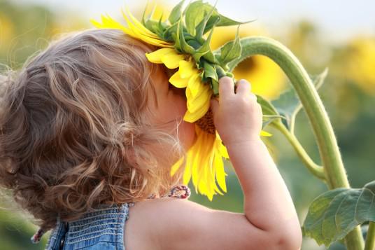 Westside Allergy Specialist Clinic