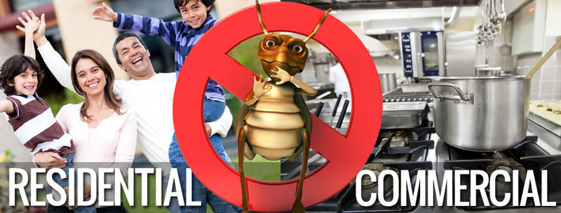 Westate Pest Control: Osborne Park