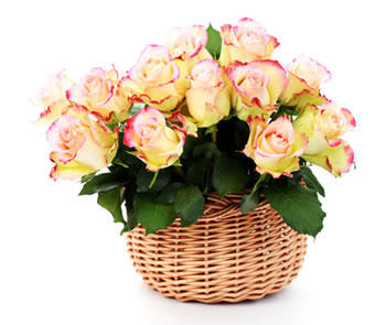 Melbourne Florist