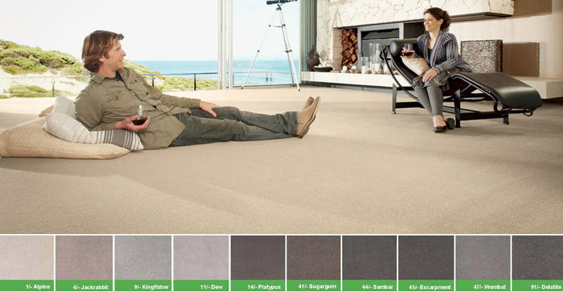 Stephen Johnson Carpets & Vinyls