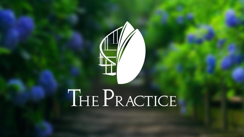 The Practice