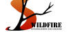 Wildfire Investigations and Analysis