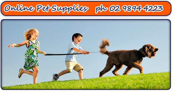 Pets On The Park