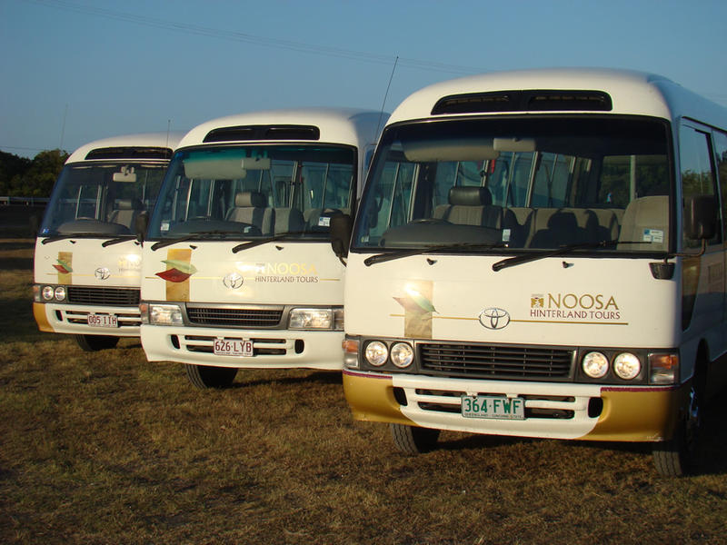 Noosa Hinterland Tours