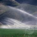 Hills Irrigation