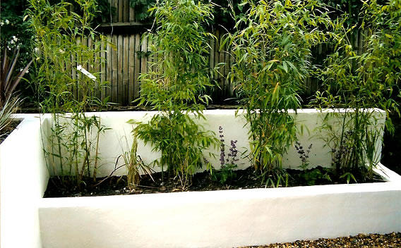 Revive Landscaping