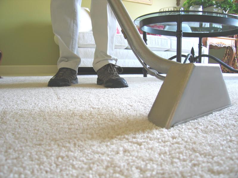 Carpet Cleaning Sydney Co