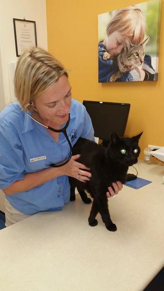 VetMed: Randwick