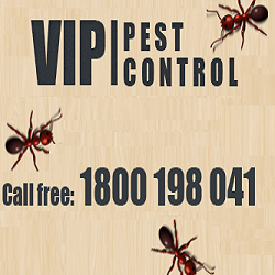 VIP Pest Control: Kilsyth